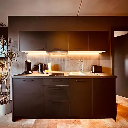 Stadthaus Neckarsulm Serviced Apartments - Stadthaus Heiner Eksteriør billede